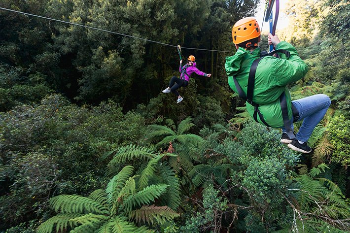 North Island bucket list Ultimate Canopy Tour