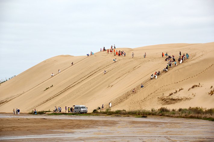Sanddune boarding - things to do in New Zealand North Island
