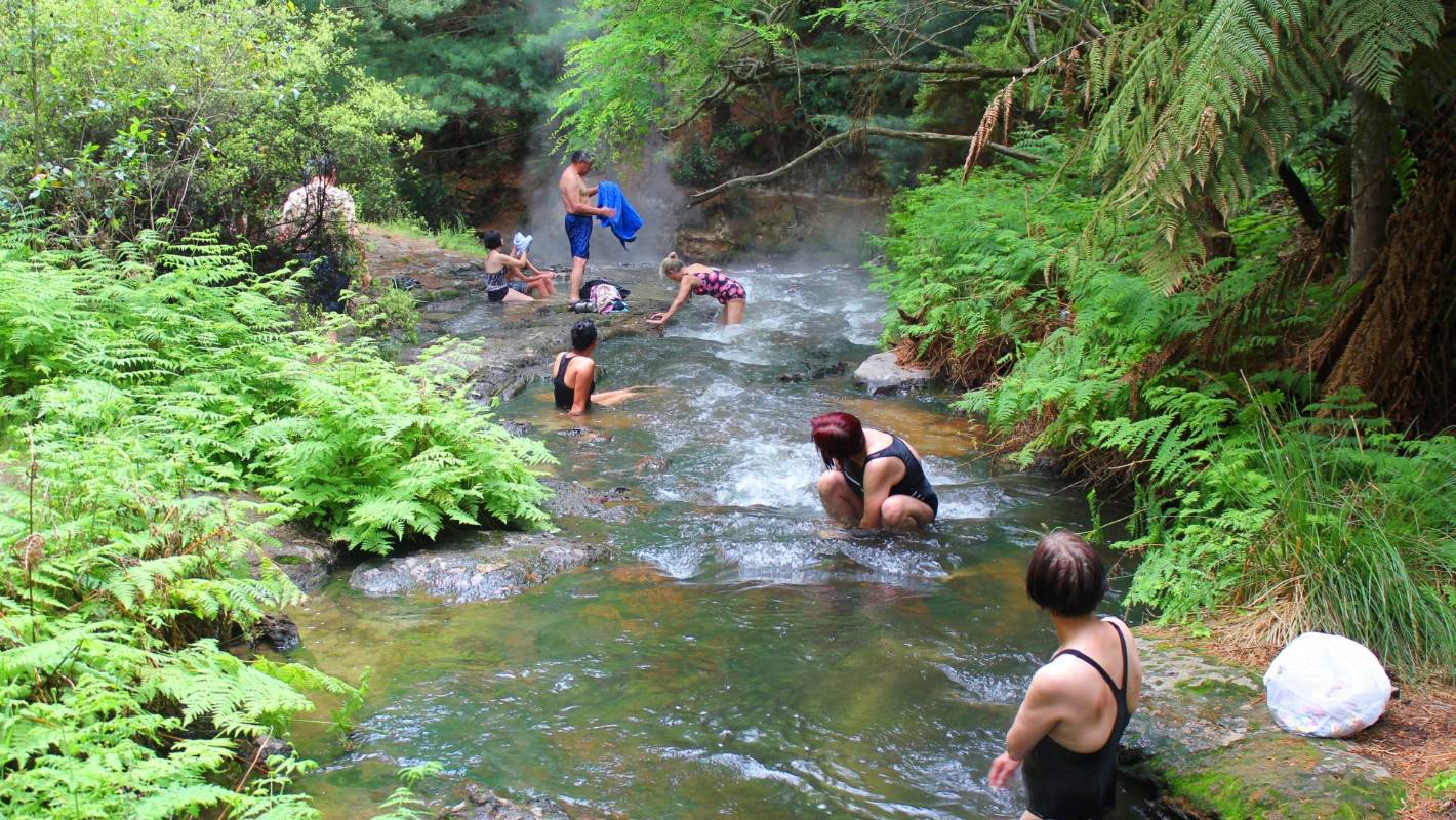 things to do in rotorua free - hot springs