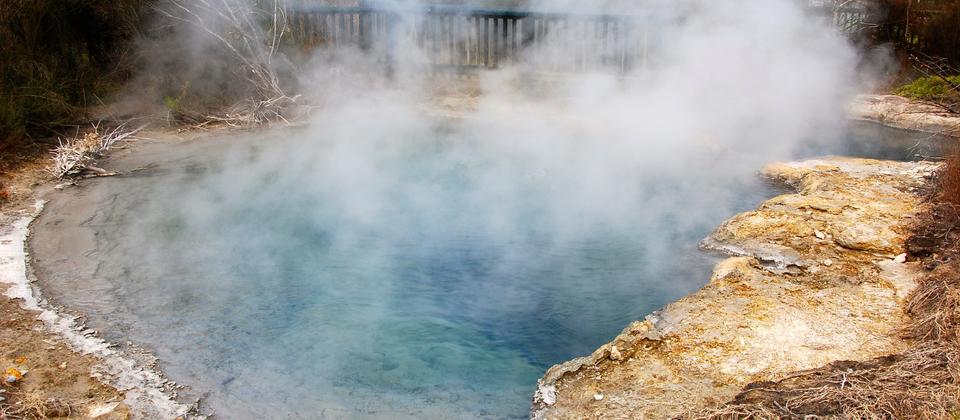 Kuirau Park Rotorua hot springs