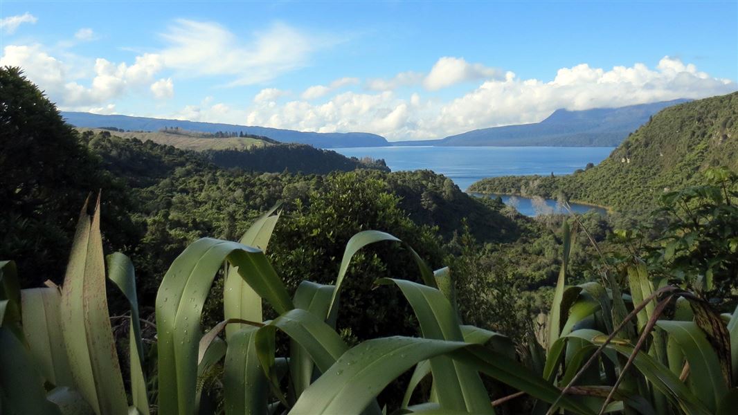 lake tarawera trail