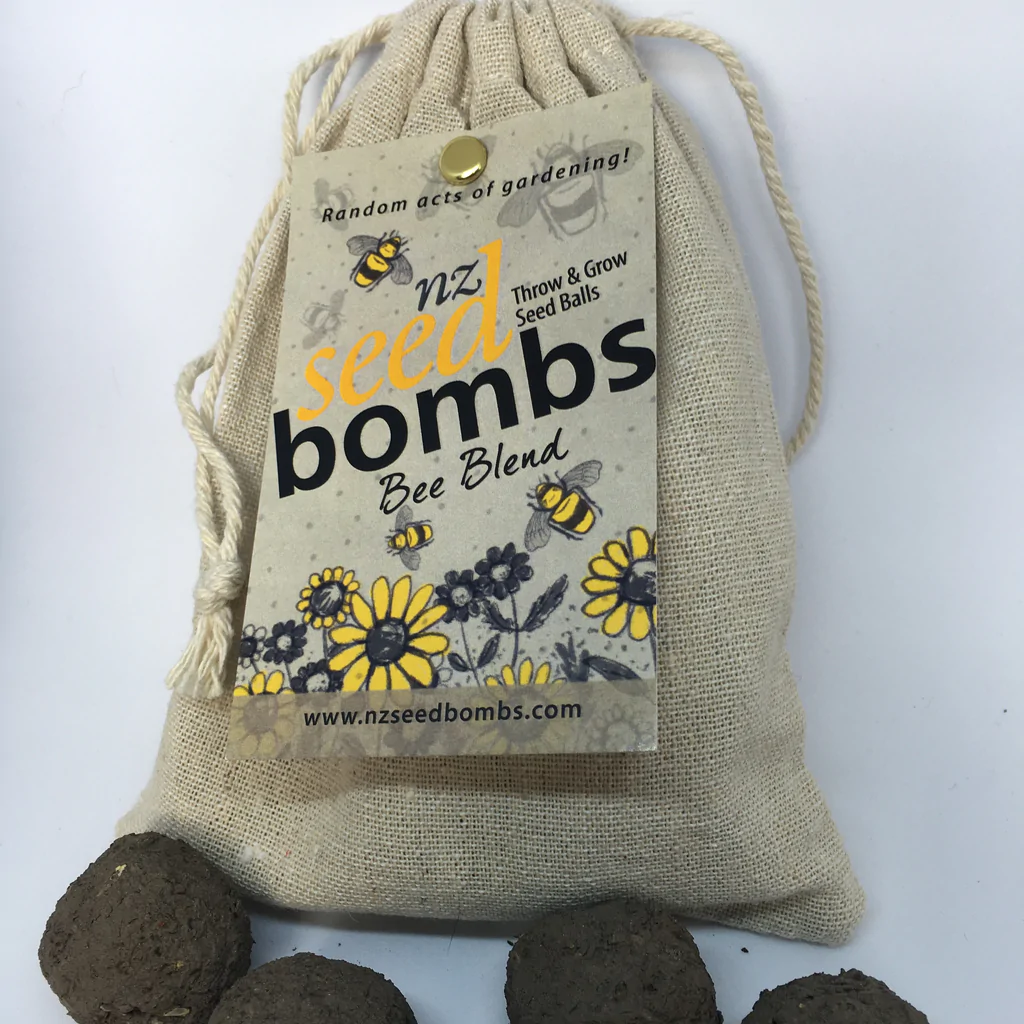 eco-friendly christmas gift ideas - seed bombs