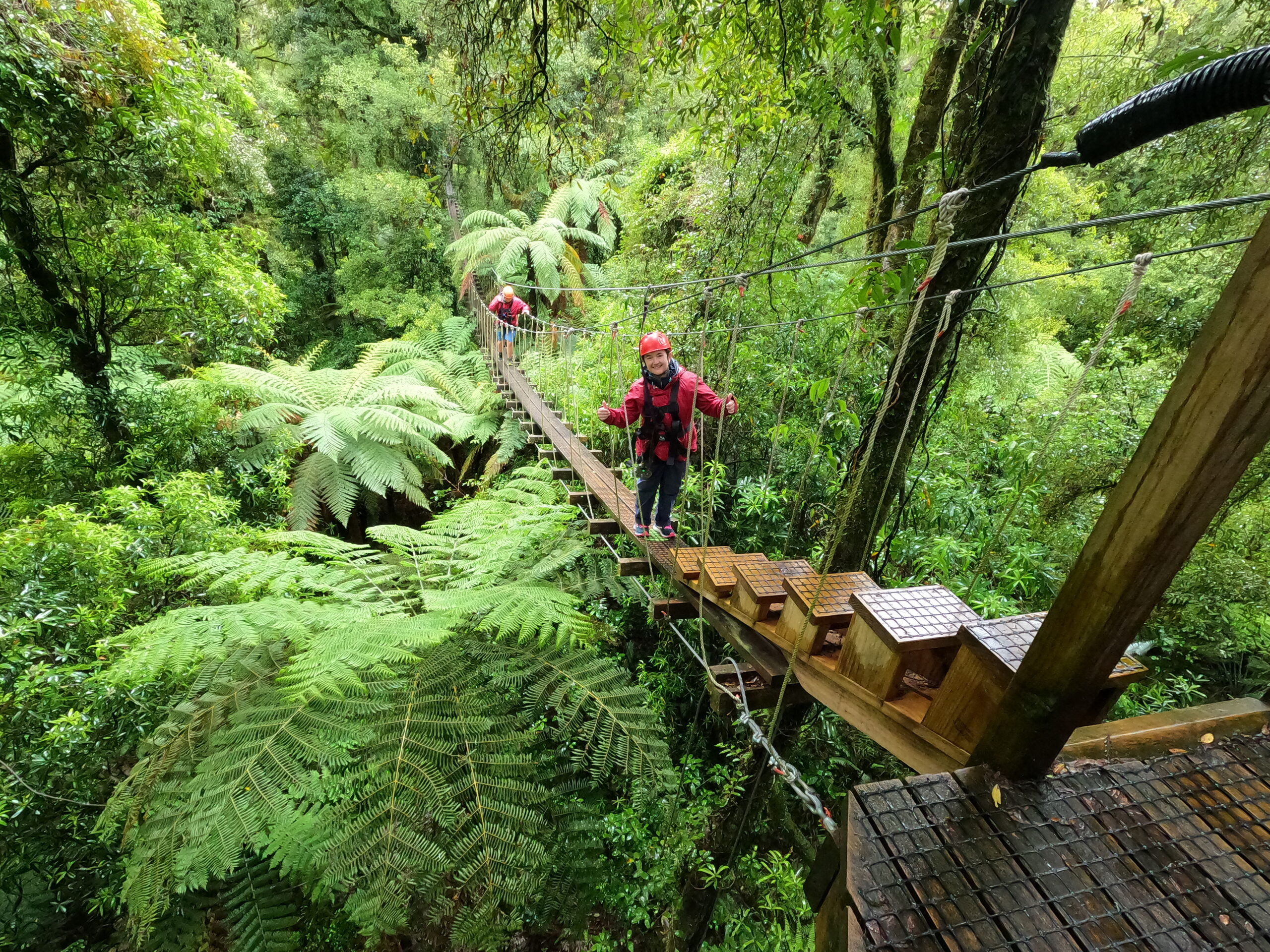 Rotorua canopy Tours forest adventure