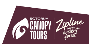 Rotorua Canopy Tours logo