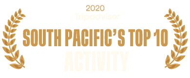 Tripadvisor 2020 South Pacific's Top 10 Activity