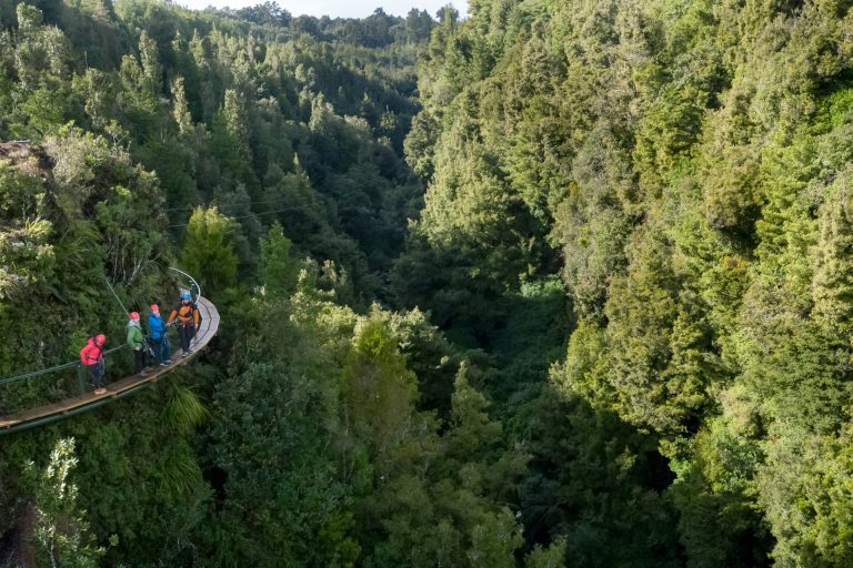 team building activities rotorua ultimate