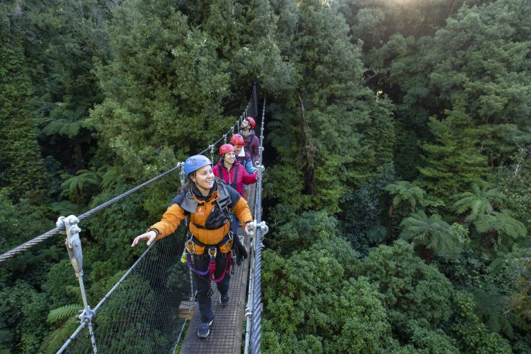 • Swing bridges, cliff walks, hidden staircases, and platforms in the trees
