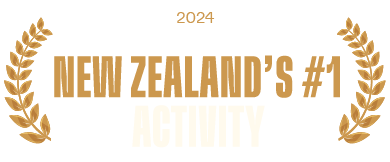 2024 Tripadvisor #1 activity